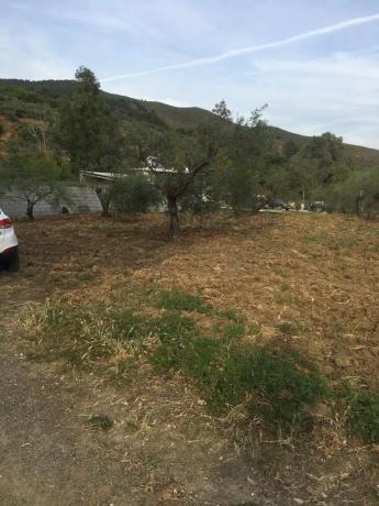 Terreno en Arroyoy de Casarabonela s/n