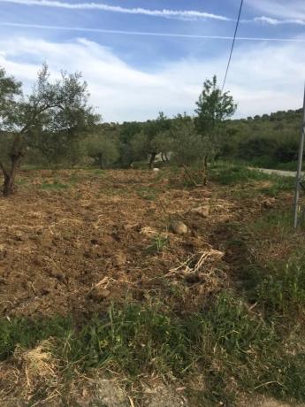 Terreno en Arroyoy de Casarabonela s/n