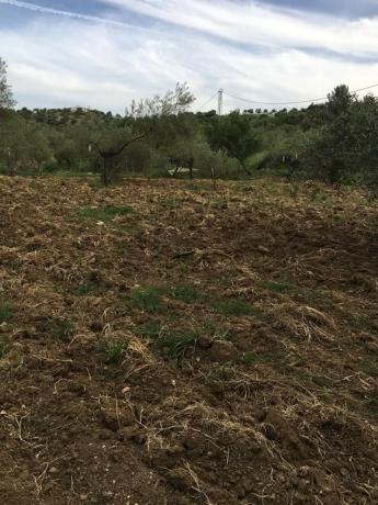 Terreno en Arroyoy de Casarabonela s/n