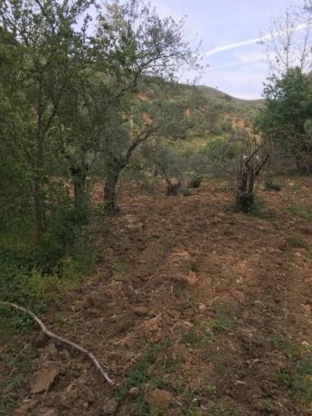 Terreno en Arroyoy de Casarabonela s/n