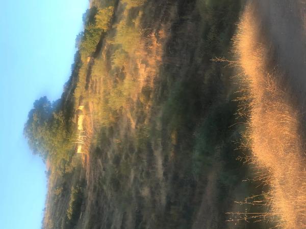 Terreno en Poligono 9-Valdeinfierno, 9