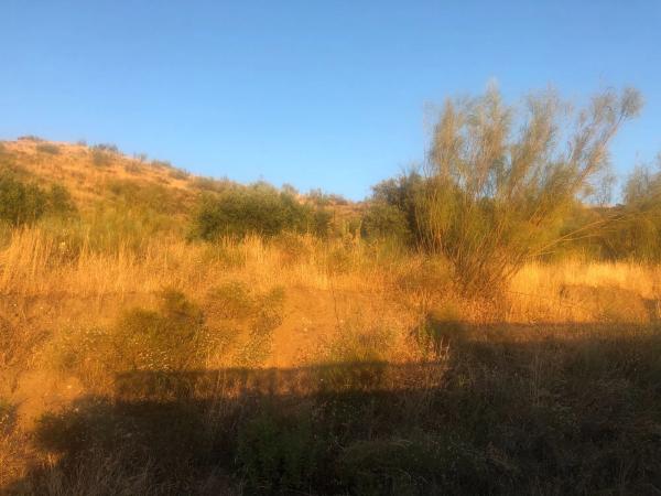 Terreno en Poligono 9-Valdeinfierno, 9