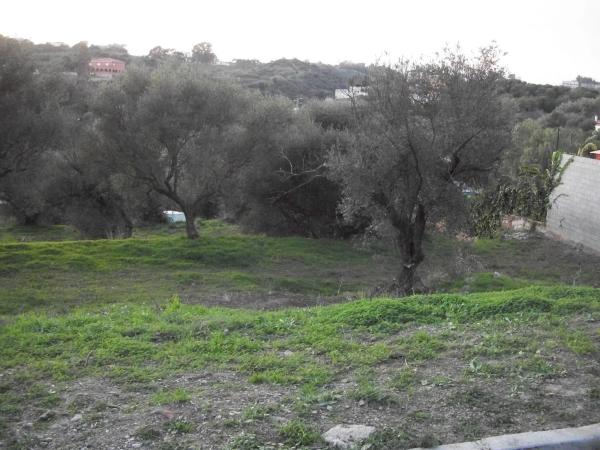 Terreno en calle Telera, 2