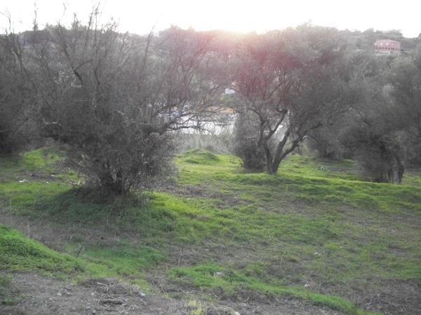 Terreno en calle Telera, 2