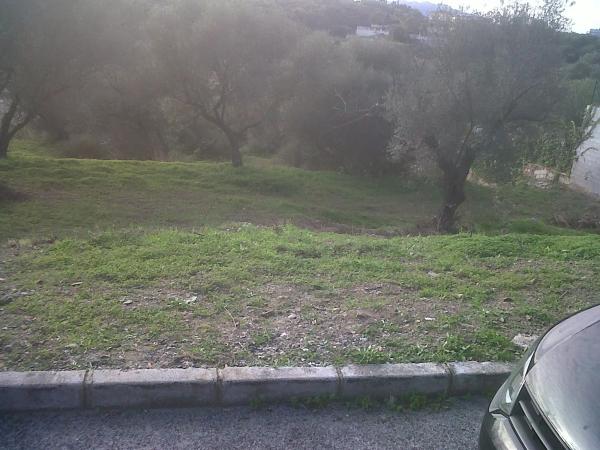 Terreno en calle Telera, 2