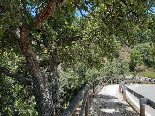 Terreno en camino de Genalguacil a Estepona, km 1