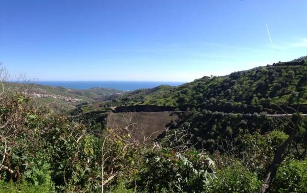 Terreno en Moclinejo