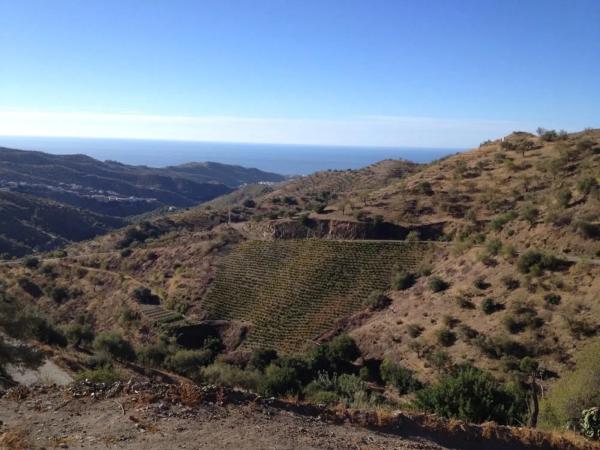 Terreno en Moclinejo