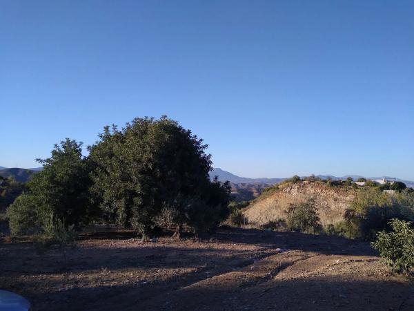 Terreno en carretera Marbella, km 1
