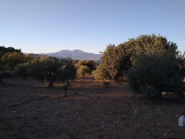 Terreno en carretera Marbella, km 1