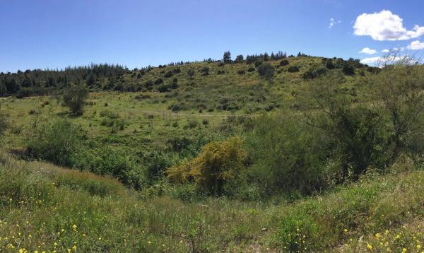 Terreno en Arrabal Hipodromo Costa del Sol, 1 d