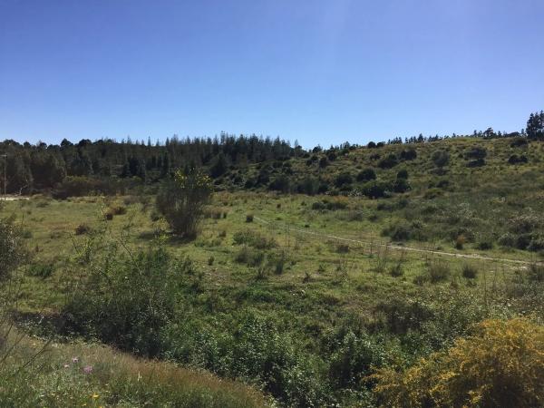 Terreno en Arrabal Hipodromo Costa del Sol, 1 d