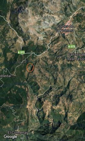 Terreno en El Robledal "Huerta el Sauzal" s/n Sn