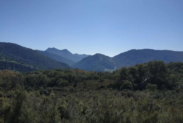 Terreno en El Robledal "Huerta el Sauzal" s/n Sn