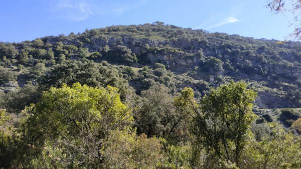 Terreno en El Robledal "Huerta el Sauzal" s/n Sn