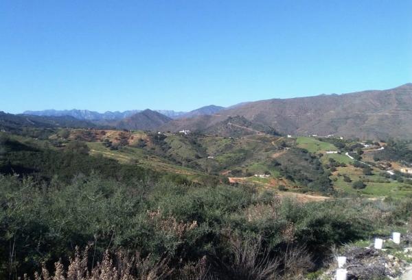 Terreno en Lugar Urbanizacion Cala Golf