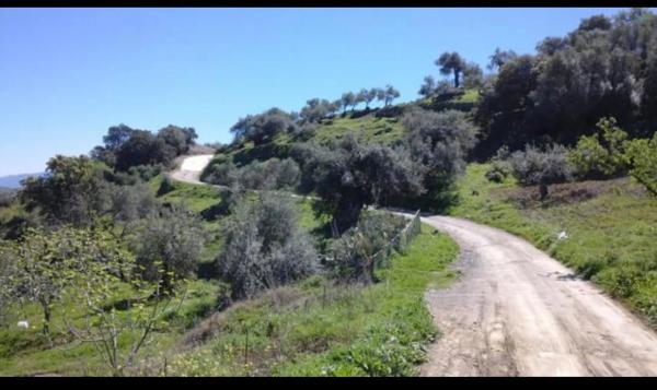 Terreno en camino de Chiribenítez s/n Sin númer