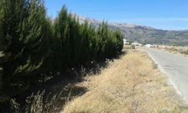 Terreno en Paraje del Cura, km 1