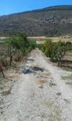 Terreno en Paraje del Cura, km 1