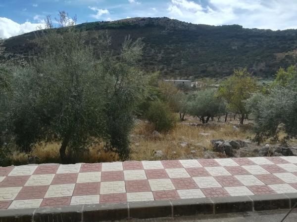 Terreno en calle Perchel, 63