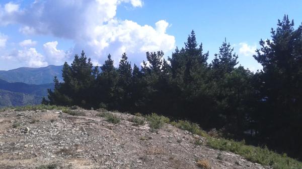 Terreno en El Jardon s/n