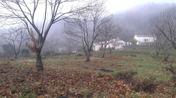 Terreno en El Jardon s/n