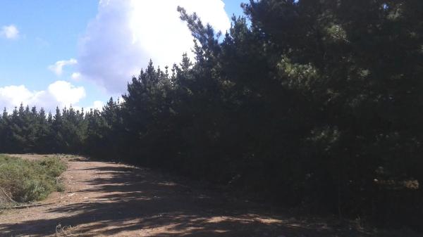 Terreno en El Jardon s/n