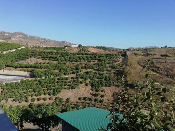 Terreno en alto Diseminado Real, 116