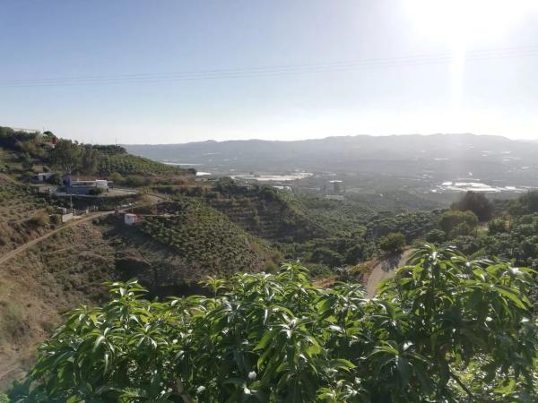 Terreno en alto Diseminado Real, 116