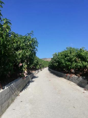 Terreno en alto Diseminado Real, 116