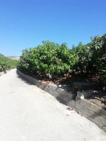 Terreno en alto Diseminado Real, 116