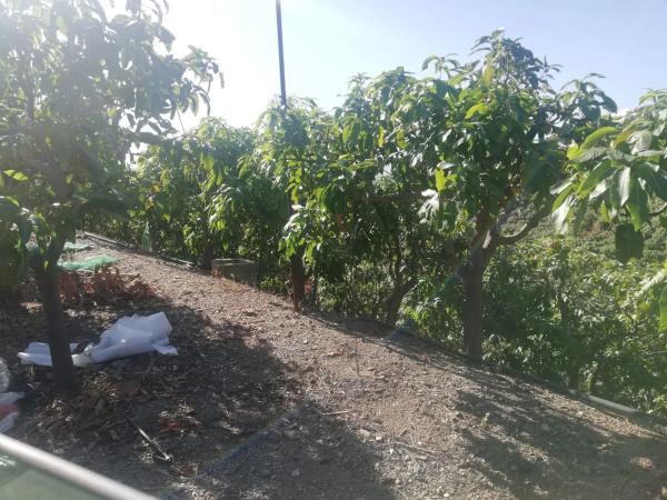 Terreno en alto Diseminado Real, 116