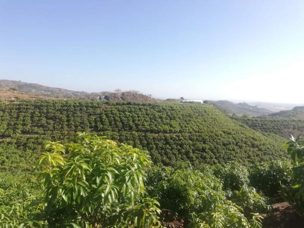 Terreno en alto Diseminado Real, 116