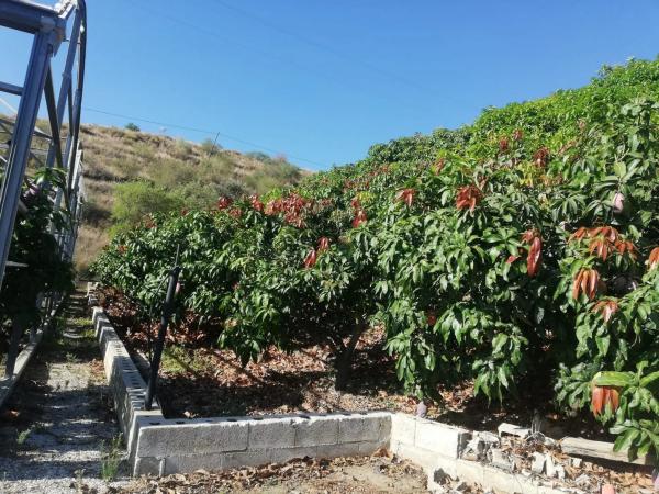 Terreno en alto Diseminado Real, 116