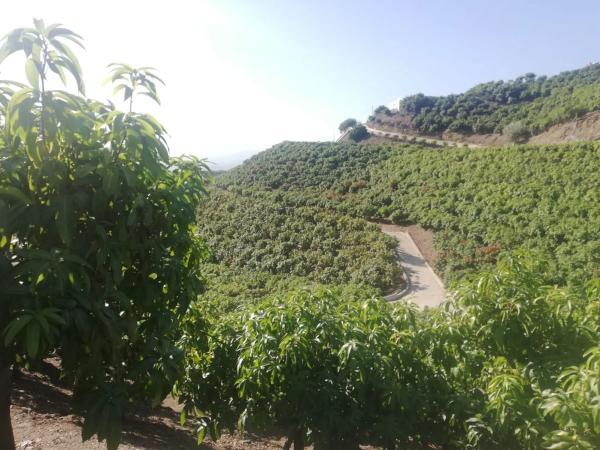 Terreno en alto Diseminado Real, 116