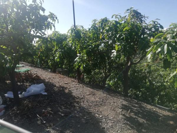 Terreno en alto Diseminado Real, 116