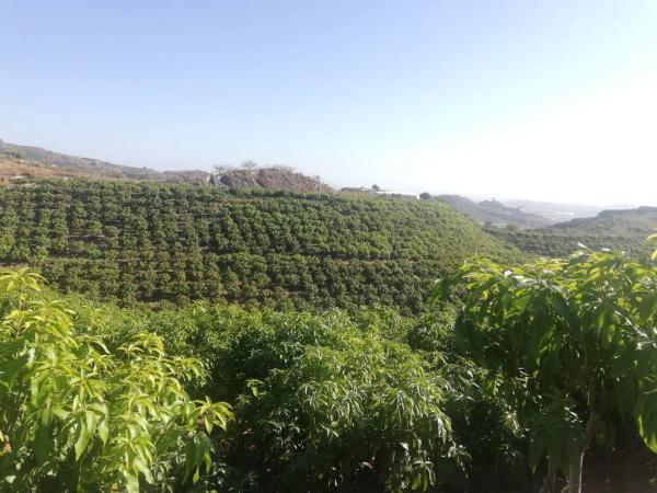 Terreno en alto Diseminado Real, 116