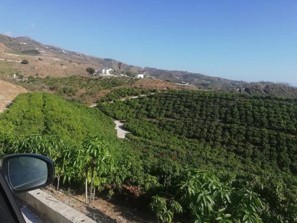 Terreno en alto Diseminado Real, 116