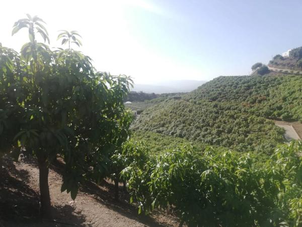 Terreno en alto Diseminado Real, 116