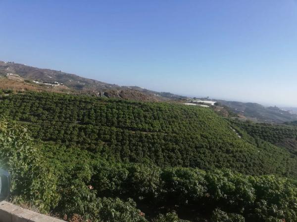 Terreno en alto Diseminado Real, 116