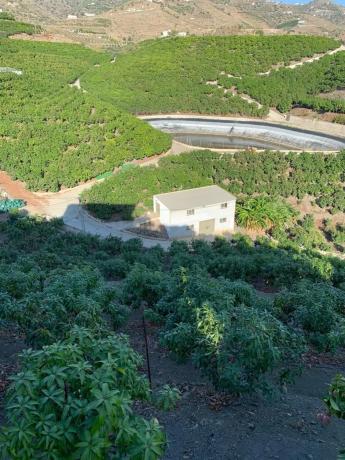 Terreno en alto Diseminado Real, 116