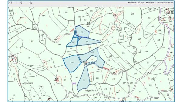Terreno en carretera de Canillas de Aceituno a Alcaucín, 28 Dsdiseminados