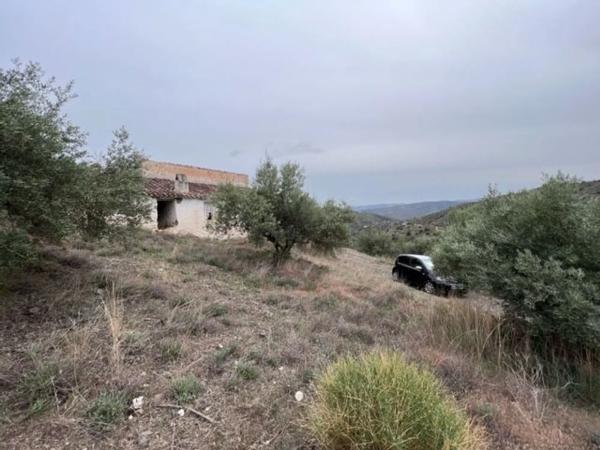 Terreno en carretera de Canillas de Aceituno a Alcaucín, 28 Dsdiseminados