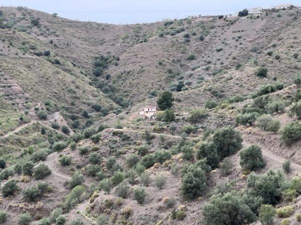 Terreno en carretera de Canillas de Aceituno a Alcaucín, 28 Dsdiseminados