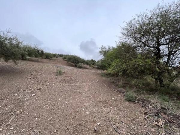 Terreno en carretera de Canillas de Aceituno a Alcaucín, 28 Dsdiseminados