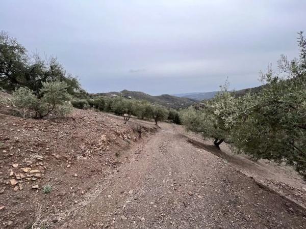 Terreno en carretera de Canillas de Aceituno a Alcaucín, 28 Dsdiseminados