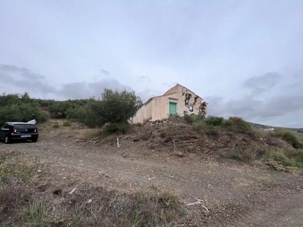 Terreno en carretera de Canillas de Aceituno a Alcaucín, 28 Dsdiseminados