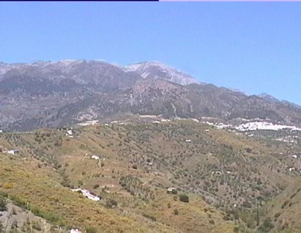 Terreno en carretera de Canillas de Aceituno a Alcaucín, 28 Dsdiseminados