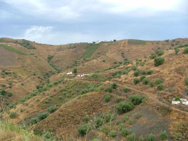 Terreno en carretera de Canillas de Aceituno a Alcaucín, 28 Dsdiseminados