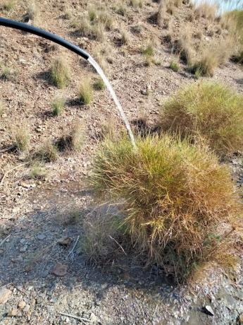 Terreno en Lagar De Padilla s/n